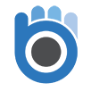 Bluewrist logo